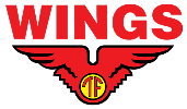 Wings Group sebagai Perusahaan Fast Moving Consumer Goods No.1 di Indonesia* (Nielsen 2024).